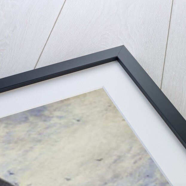 The Market Place, Coburg by William Callow