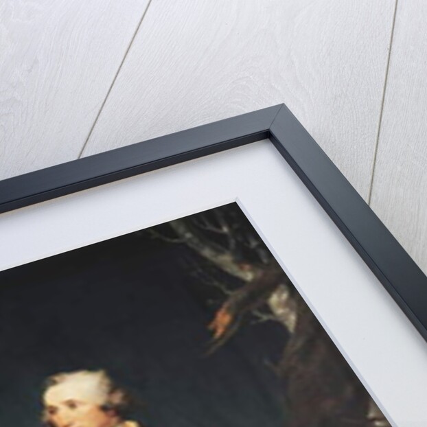 Portrait of General George Washington at the Battle of Trenton by Rober Muller