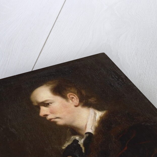 Portrait of Oliver Goldsmith by Joshua Reynolds