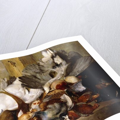 A Still Life of Dead Birds; A Heron Hanging from a Wall, Duck, Pheasant, Partridge, Woodcock, a Swan and a Pigeon with a Hare, 1845 by W. Oakes