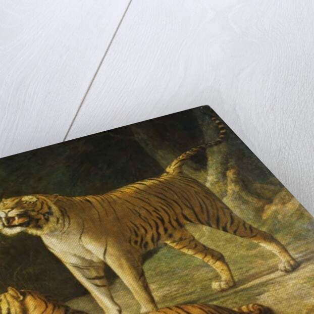 A Tiger and Tigress at the Exeter 'Change Menagerie in 1808, 1808 by Jacques-Laurent Agasse