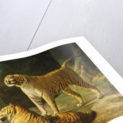 A Tiger and Tigress at the Exeter 'Change Menagerie in 1808, 1808 by Jacques-Laurent Agasse