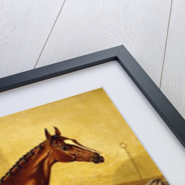 Orlando, a Bay Racehorse in a Loosebox, 1845 by John Frederick Herring Snr