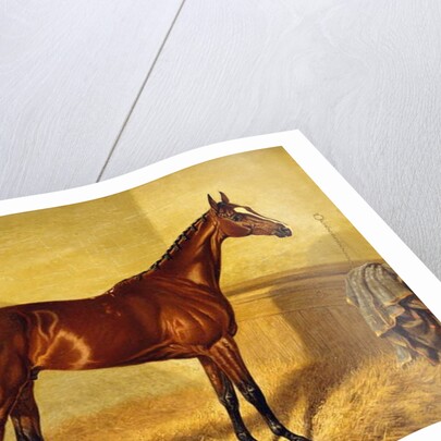 Orlando, a Bay Racehorse in a Loosebox, 1845 by John Frederick Herring Snr