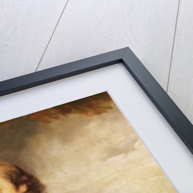 Portrait of Sir Gerard Napier, 6th Bt. by Joshua Reynolds