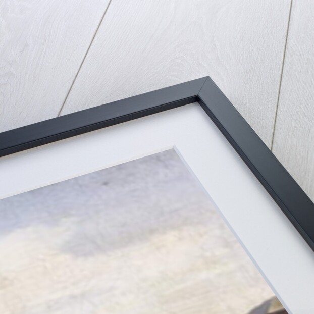 Unter den Linden, Berlin, 1836 by Eduard Gartner