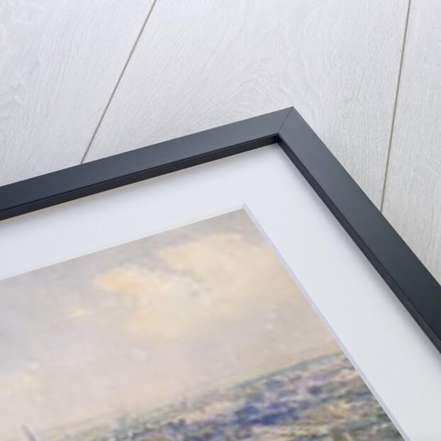 Panorama of Vienna, 1871 by Rudolph von Alt