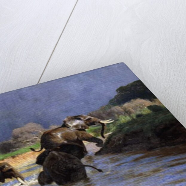 Elephants Bathing; Badende Elefanten, 1908 by Wilhelm Kuhnert