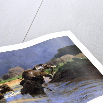 Elephants Bathing; Badende Elefanten, 1908 by Wilhelm Kuhnert