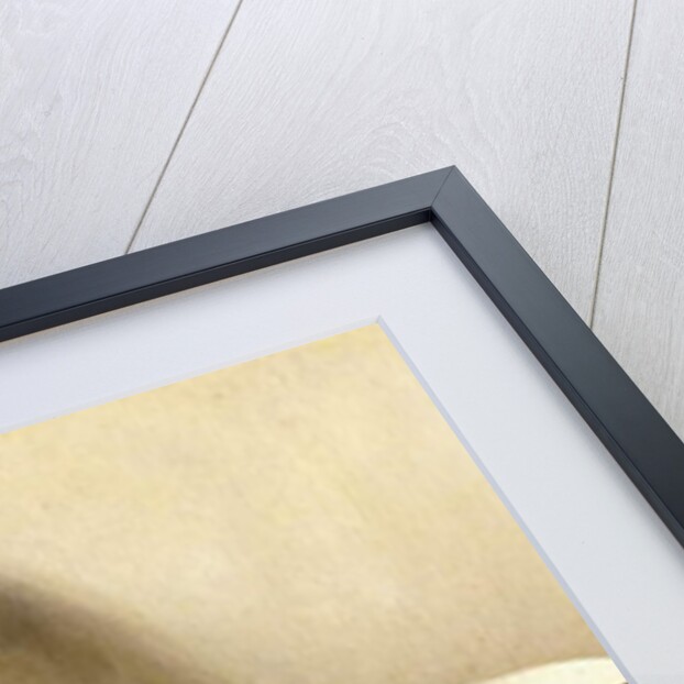 Still Life with Red and Green Peppers, 1924 by Arthur Segal