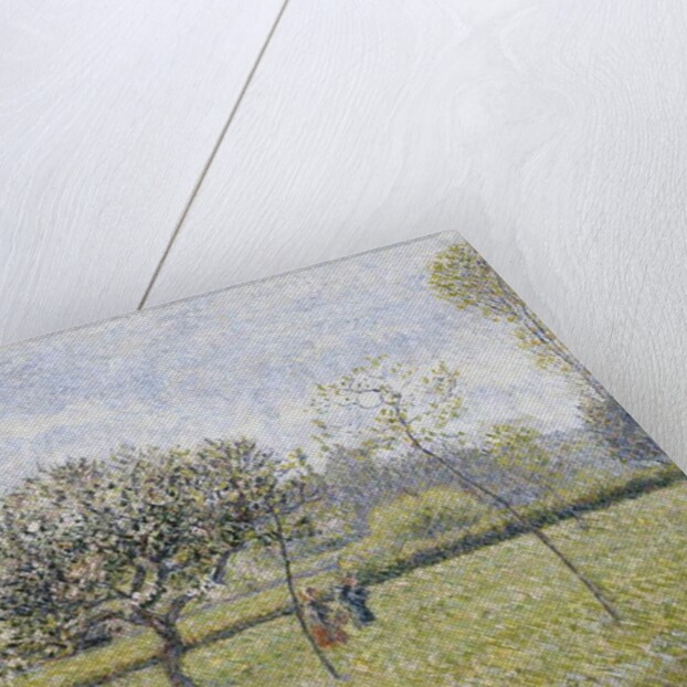 Apple Tree in Flower at Eragny by Camille Pissarro