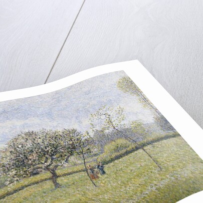 Apple Tree in Flower at Eragny by Camille Pissarro