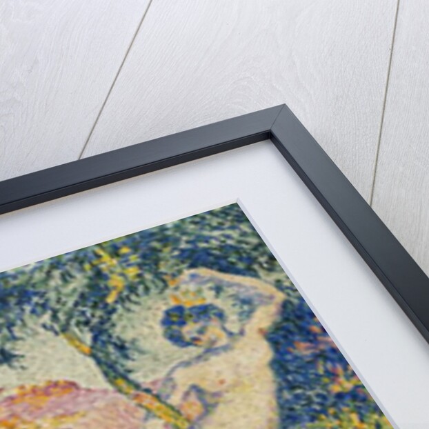 Napees, 1908 by Henri-Edmond Cross