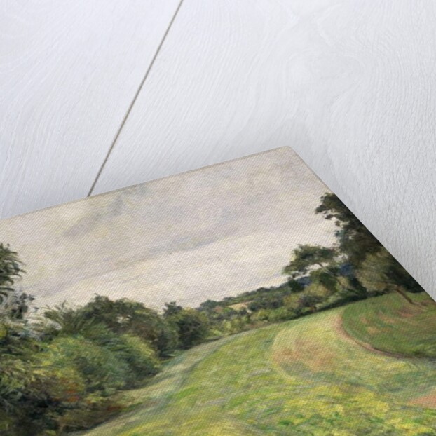 Le Fond de St, 1876 by Camille Pissarro