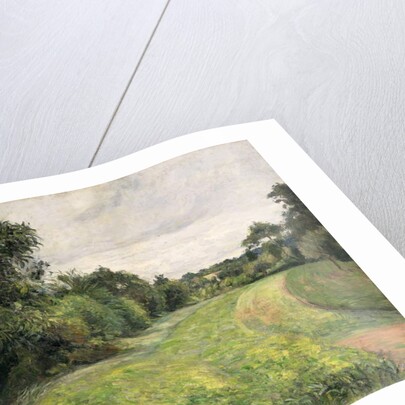 Le Fond de St, 1876 by Camille Pissarro