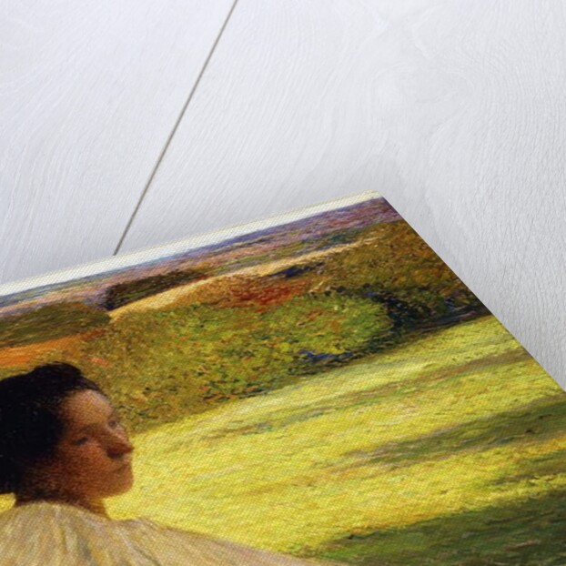 Meditation, 1896 by Henri Jean Guillaume Martin