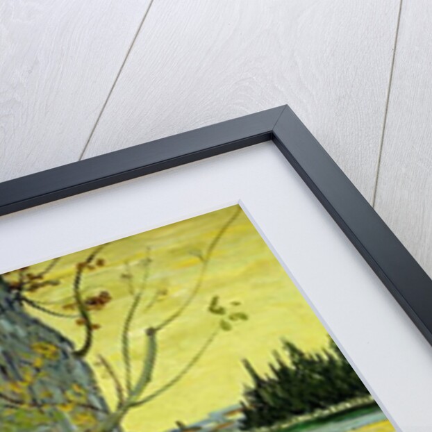 The Old Tree; Le Vieil If, 1888 by Vincent van Gogh