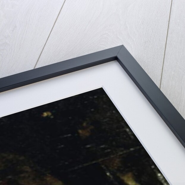 After the Swim; Apres le Bain, c.1846 by Honore Daumier