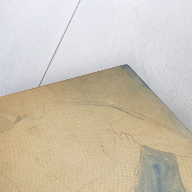 Young Nude Boy; Jeune Garcon Nu, 1914 by Amedeo Modigliani