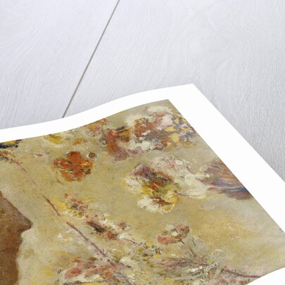 Woman in Profile with Butterfly and Flowers; Femme de Profil avec Papillon et Fleurs, by Odilon Redon