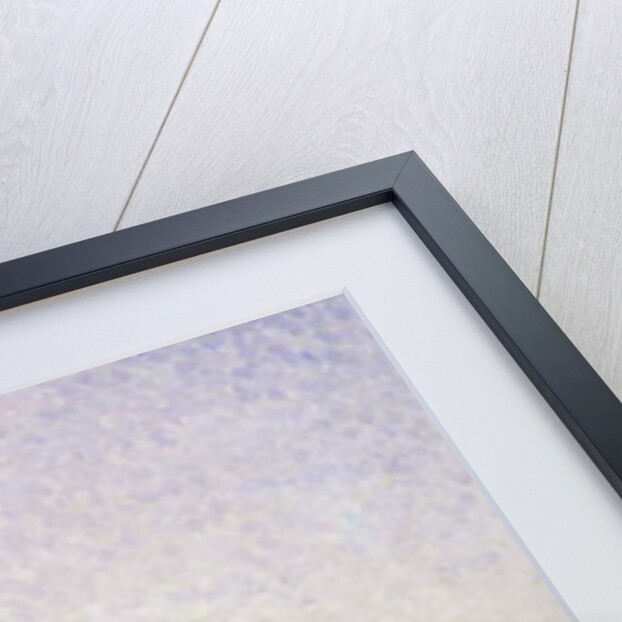 Bathers; Baigneurs, 1906 by Henri-Edmond Cross