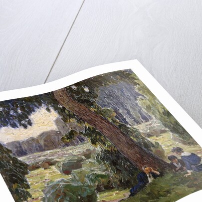 Relaxing in the Au; Rast in der Au by Carl Moll