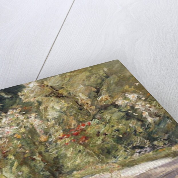 Garden by the Wansee by Max Liebermann