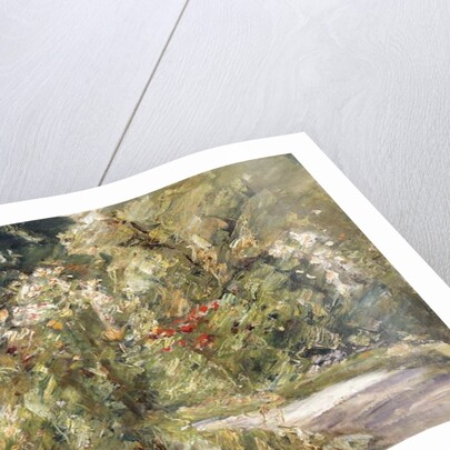 Garden by the Wansee by Max Liebermann