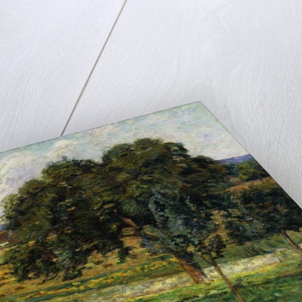 Trees and Flowers, Damiette Countryside; Arbres et Fleurs, Paysage a Damiette, c.1885 by Jean Baptiste Armand Guillaumin