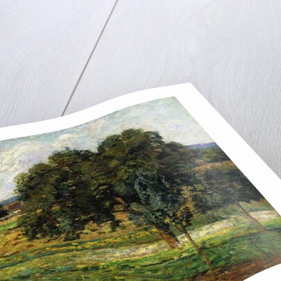 Trees and Flowers, Damiette Countryside; Arbres et Fleurs, Paysage a Damiette, c.1885 by Jean Baptiste Armand Guillaumin