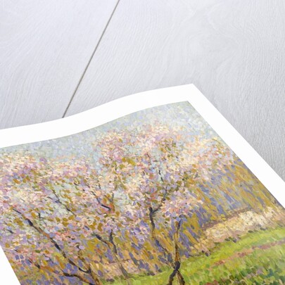 Apple Tree in Blossom; Pommiers en Fleurs by Henri Jean Guillaume Martin