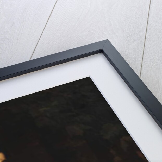 The Pink Rose by Eugen von Blaas