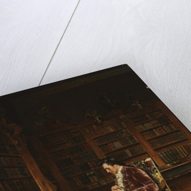 In the Library by Johann Hamza