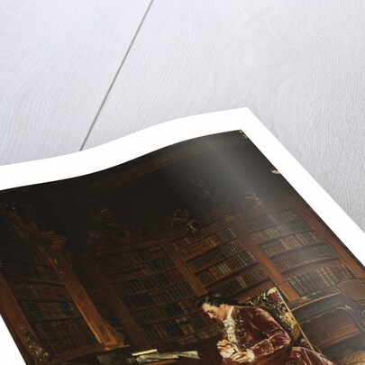 In the Library by Johann Hamza