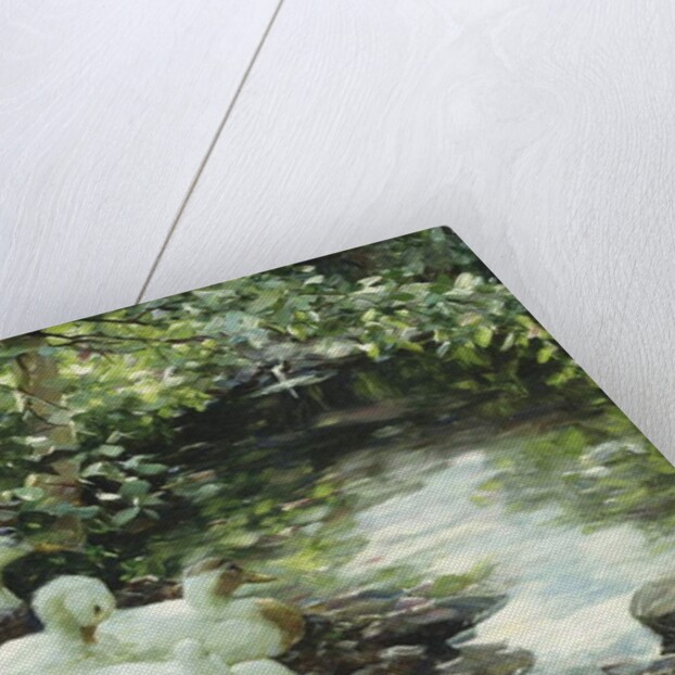 Five ducks on the river, Stony shore; Funf Enten am Bach, Steiniges Ufer by Alexander Koester