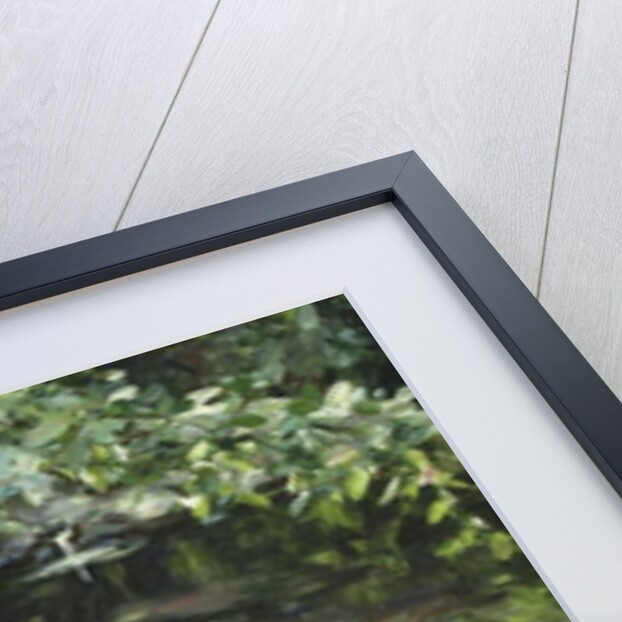 Five ducks on the river, Stony shore; Funf Enten am Bach, Steiniges Ufer by Alexander Koester