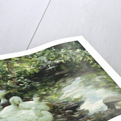 Five ducks on the river, Stony shore; Funf Enten am Bach, Steiniges Ufer by Alexander Koester