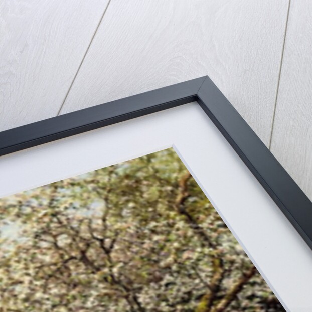 Country Women after Fishing on a Summer's Day by Louis Aston & Knight Daniel Ridgway (1839-1924) Knight