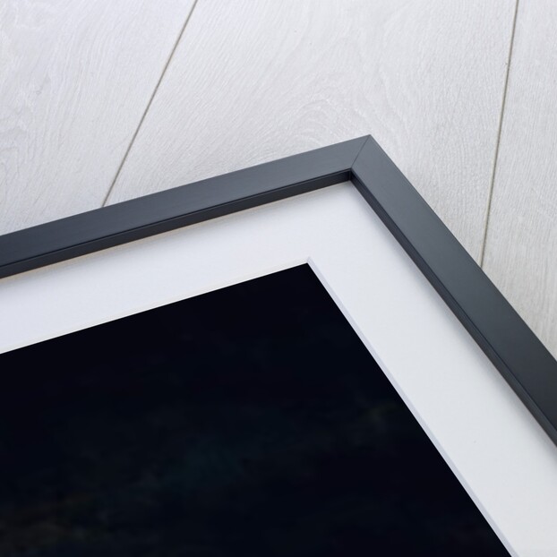 Lost in the Storm by Richard Ansdell