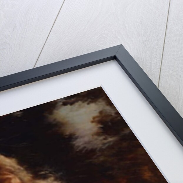 A Young Beauty, 1902 by Louis de Schryver