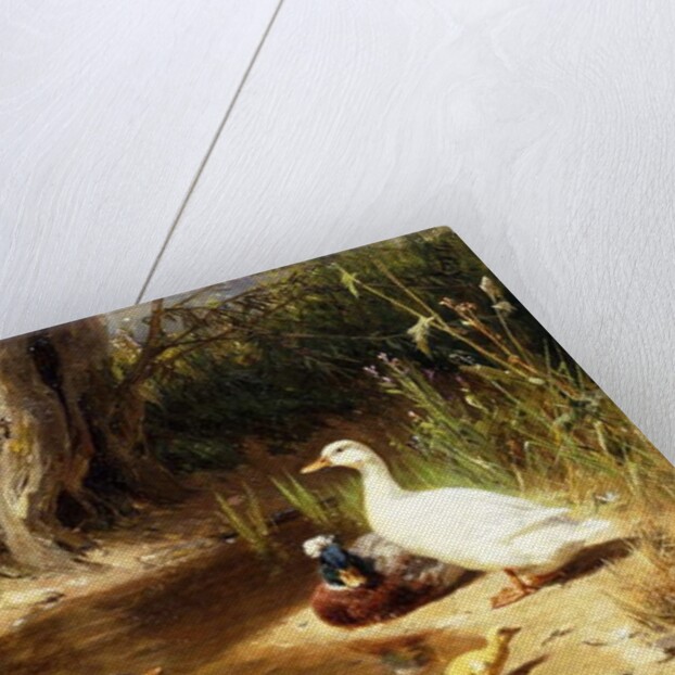 Ducks at the Water's Edge, 1874 by Carl Jutz