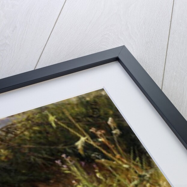 Ducks at the Water's Edge, 1874 by Carl Jutz