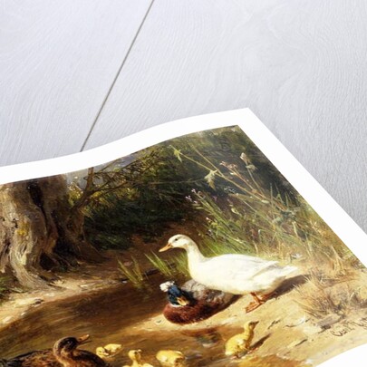 Ducks at the Water's Edge, 1874 by Carl Jutz