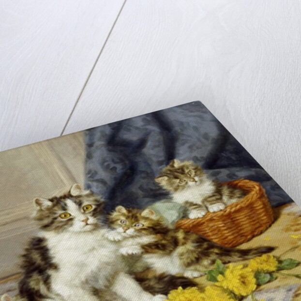 Playful Kittens by Daniel Merlin