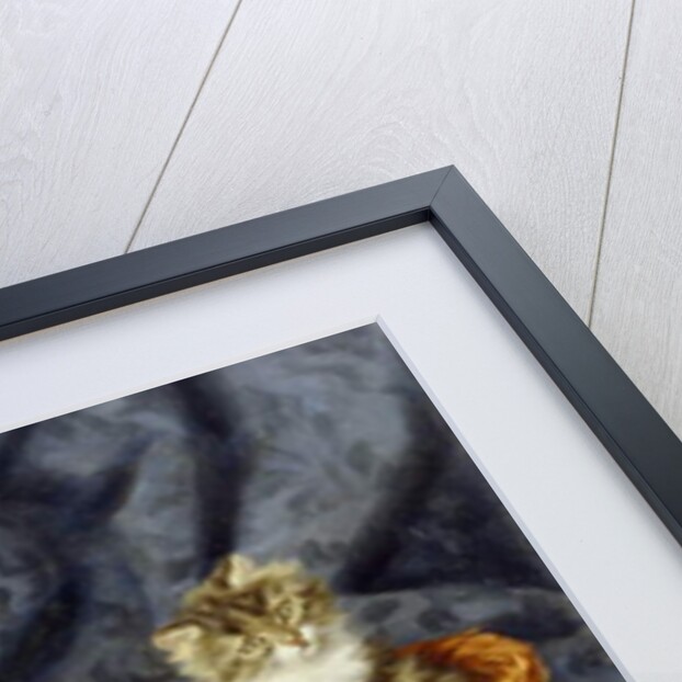 Playful Kittens by Daniel Merlin