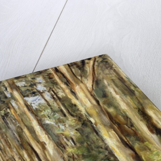 Picnic in the Woods, 1920 by Max Liebermann