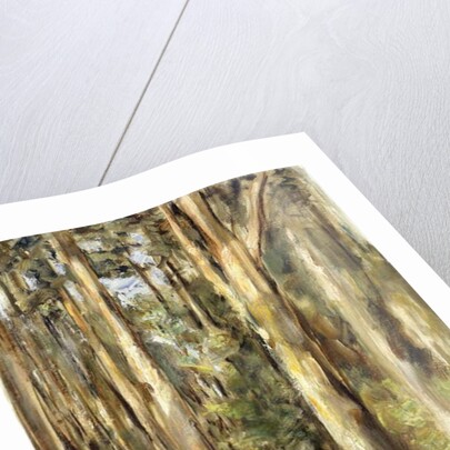 Picnic in the Woods, 1920 by Max Liebermann