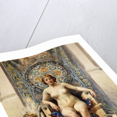 The Favourite by Antonio Garcia Mencia