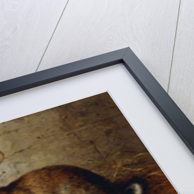 Escaped: Two Rabbits and Guinea Pig, 1880 by Alfred R. Barber