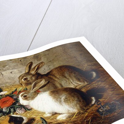 Escaped: Two Rabbits and Guinea Pig, 1880 by Alfred R. Barber
